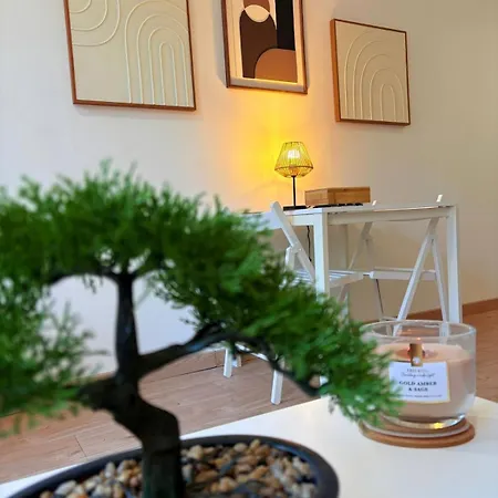 L'atelier Boheme - Elegant En Centre Lejlighed Pamiers